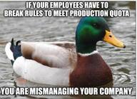 actual_advice_mallard advice_animals duck // 640x463 // 43KB