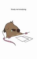 animated brain_not_braining rat video // 360x576, 12s // 302KB