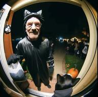 ai_generated at_the_door breaking_bad cat fisheye_lense halloween pumpkin walter_white // 828x815 // 65KB