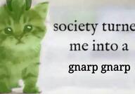 alien_cat cat gnarp_gnarp kitten society // 1721x1205 // 97KB