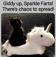 black_cat cat chaos giddy_up kitten sparkle_farts spreading_chaos stuffed_animal unicorn unicorn_plush // 800x817 // 40KB