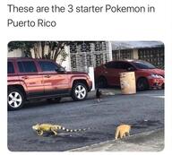 pokemon puerto_rico // 640x578 // 67KB